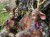 5bdba7c7-c196-47d1-aabe-e1a85db3acb7.jpeg