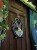 IMG_9093.jpeg