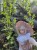 1b6bf11c-69e7-4753-a8c5-ec01d52fe0cb.jpeg