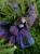 93bbfb11-3497-47bc-84e5-d1dd83053b4a.jpeg