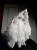 IMG_1688.jpeg