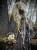 IMG_2108.jpeg