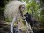 IMG_2041.jpeg