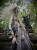 IMG_2116.jpeg