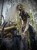 IMG_2100.jpeg
