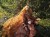IMG_2872.jpeg