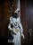 IMG_3085.jpeg