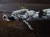 IMG_3120.jpeg