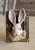 IMG_3230.jpeg