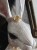 IMG_3232.jpeg