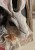 IMG_3245.jpeg