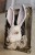 IMG_3235.jpeg