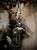 IMG_3334.jpeg