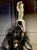 IMG_3343.jpeg