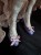 IMG_4028.jpeg
