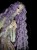 IMG_4074.jpeg