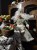 IMG_4464.jpeg