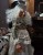 IMG_4440.jpeg