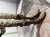 IMG_5058.jpeg