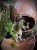 IMG_5416.jpeg