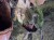 IMG_5406.jpeg