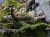 IMG_5403.jpeg