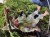 IMG_5398.jpeg