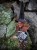 IMG_5461.jpeg
