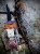 IMG_5481.jpeg
