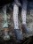 IMG_5588.jpeg