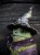 IMG_5667.jpeg