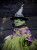 IMG_5657.jpeg