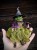 IMG_5656.jpeg
