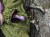 IMG_5670.jpeg