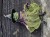 IMG_5669.jpeg