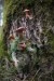 productGfx_1523_50_0.jpg