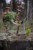 productGfx_1516_50_0.jpg