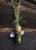 IMG_6454.jpeg