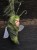 IMG_6449.jpeg