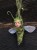 IMG_6438.jpeg