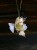 IMG_6469.jpeg