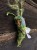 IMG_6470.jpeg