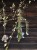 IMG_6441.jpeg
