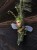IMG_6457.jpeg