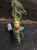 IMG_6451.jpeg