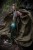 IMG_6499.jpeg