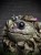 IMG_6601.jpeg