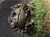 IMG_6602.jpeg