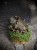 IMG_6598.jpeg
