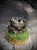 IMG_6597.jpeg